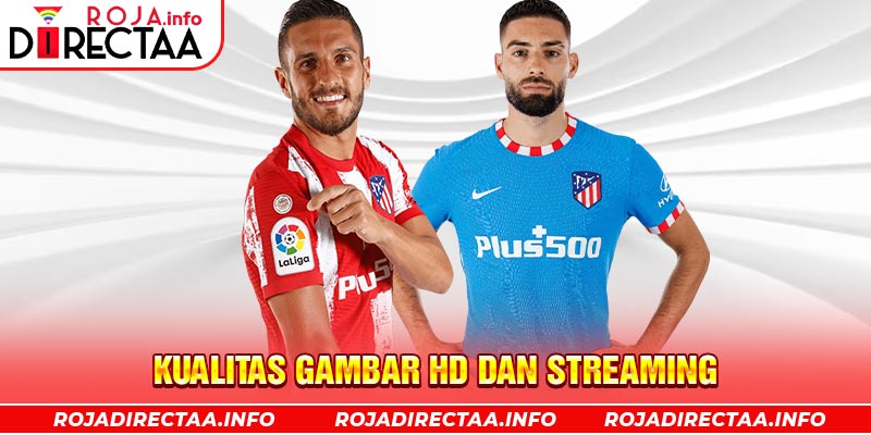 Kualitas Gambar HD dan Streaming